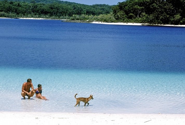 K'gari (Fraser Island) Wildnis Safari