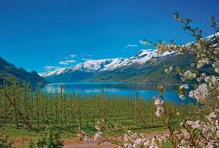 Fjorde, Gletscher und historische Hotels (ab/bis Bergen)