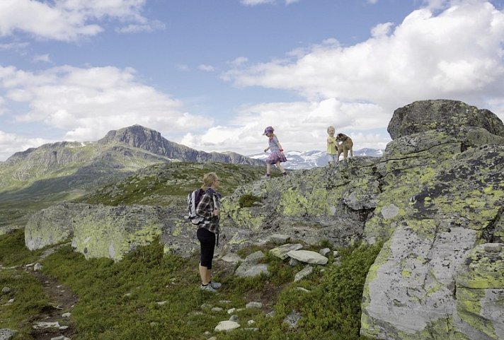 Fjorde, Gletscher und historische Hotels (ab/bis Bergen)