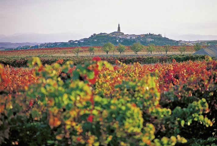 Baskenland und Rioja - Genuss zwischen Meer und Pyrenäen