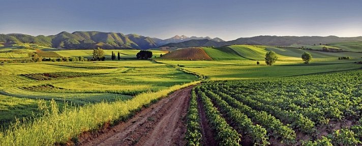 Baskenland und Rioja - Genuss zwischen Meer und Pyrenäen