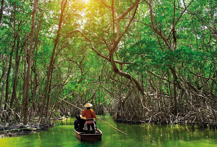 Naturwunder Borneos (Kota Kinabalu-Kuching)