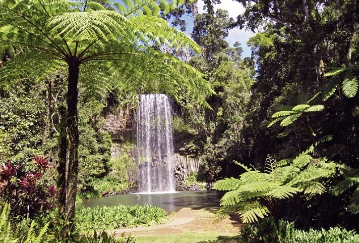 Ostküste auf eigene Faust (Brisbane - Cairns, 12 Nächte)