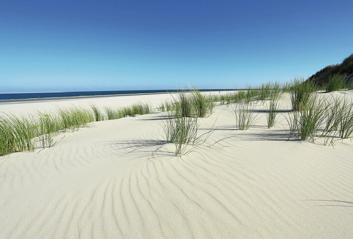 Ostfriesland Inselhüpfen Deluxe