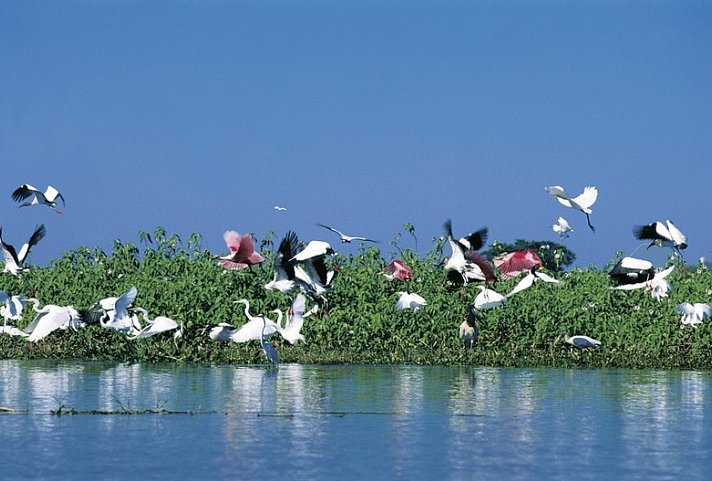 Unberührte Natur - Pantanal Araras Eco Lodge