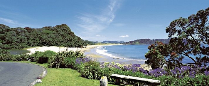 Neuseeland auf eigene Faust