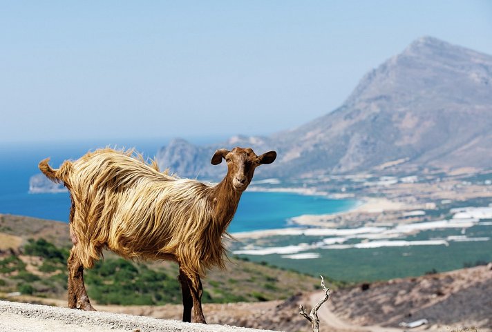 Kreta gemütlich erwandern