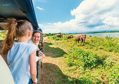 Wildlife Safari Colombo