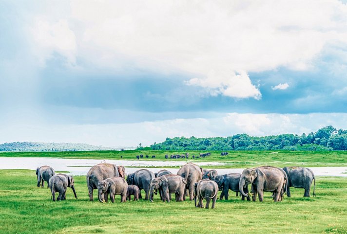 Sri Lanka für Genießer