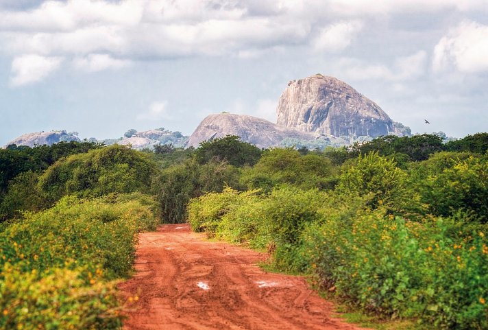 Sri Lanka für Genießer