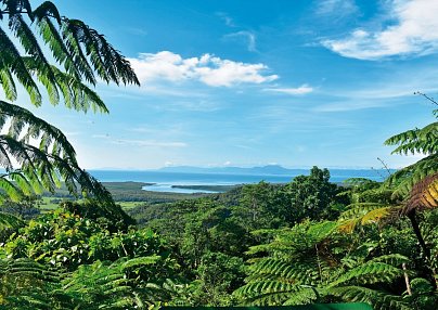 Reef & Rainforest Cairns
