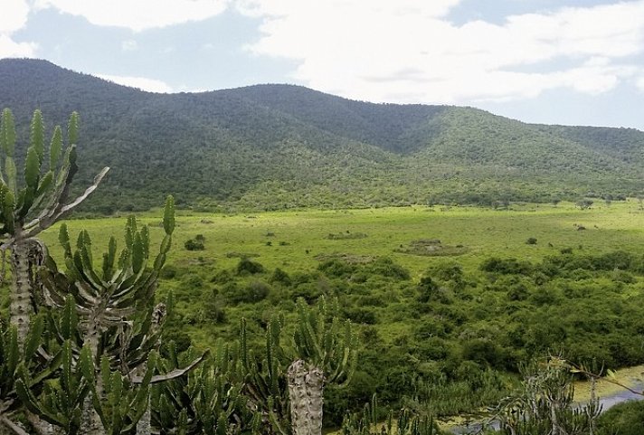 Gartenroute zum Verweilen (Kapstadt - Gqeberha (Port Elizabeth))