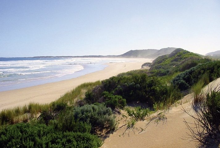 Gartenroute zum Verweilen (Kapstadt - Gqeberha (Port Elizabeth))