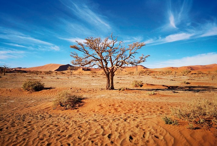Drifters - Southern Africa Explorer Kapstadt - Maun