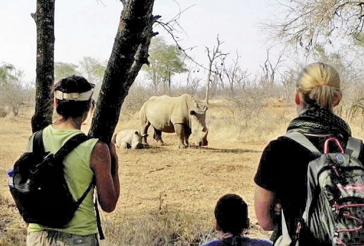 Drifters - Southern Africa Explorer Kapstadt - Maun
