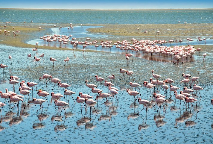 Drifters - Southern Africa Explorer Kapstadt - Maun