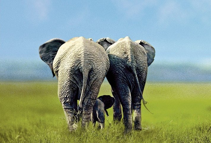 Drifters - Southern Africa Explorer Kapstadt - Victoria Falls