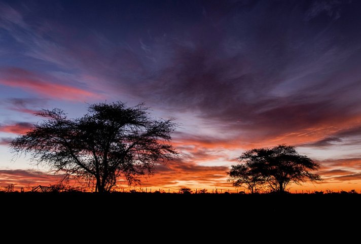 Drifters - Southern Africa Explorer Kapstadt - Victoria Falls
