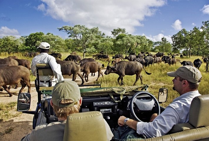 Royales Südafrika