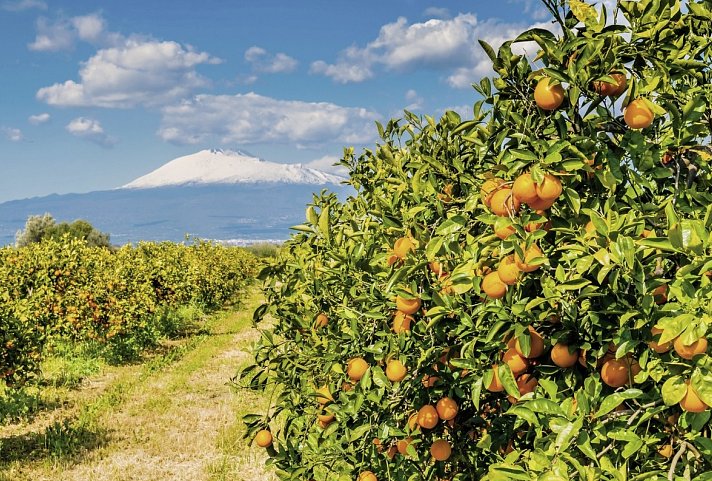 Entdeckungsreise Pantelleria (4 Nächte ab/bis Palermo)