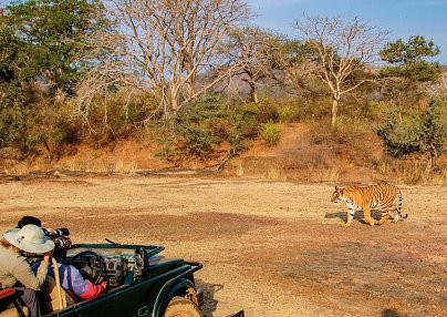 Goldenes Dreieck - Kultur & Wildlife (7 Nächte) Delhi