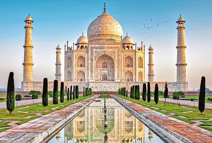 Tiger, Tempel, Taj Mahal
