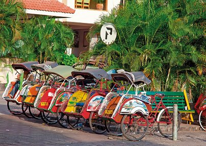 Natur Deluxe (Privatreise) Denpasar