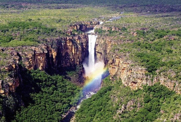 Kakadu auf eigene Faust