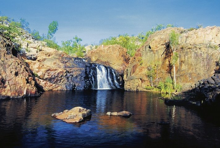 Kakadu auf eigene Faust
