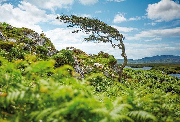 Naturschönheiten Irlands