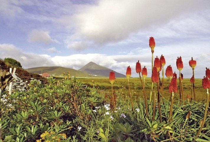 Herrschaftliches Irland