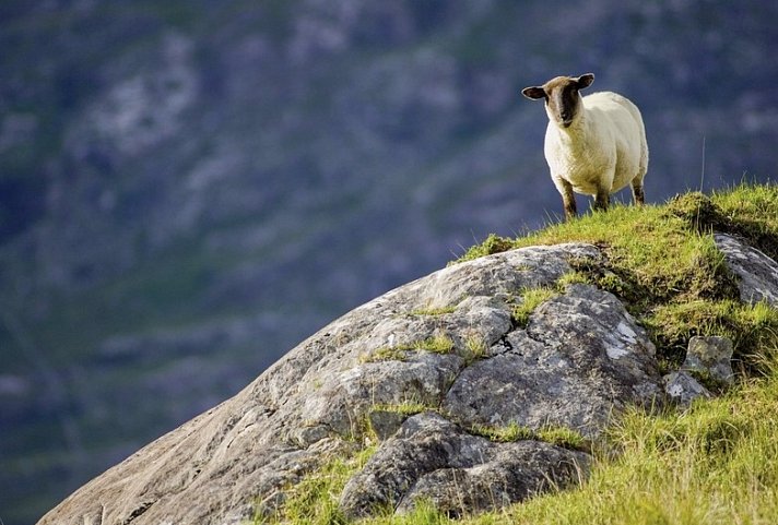 Bahnerlebnisreise Irlands Südwesten