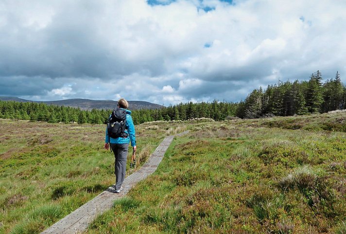 Wanderferien auf dem Wicklow Way