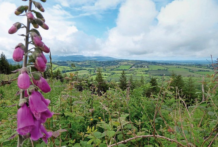 Wanderferien auf dem Wicklow Way