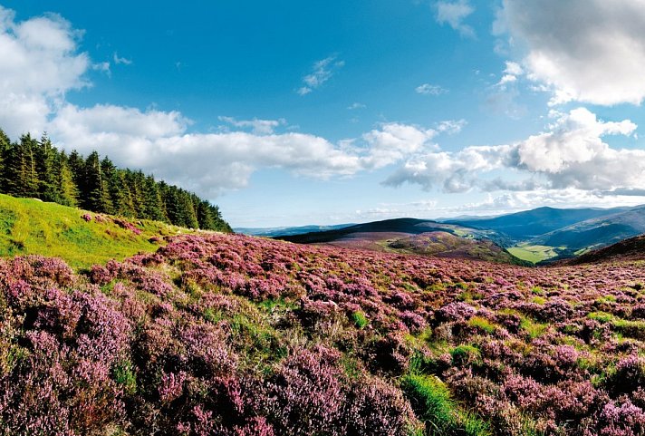Wanderferien auf dem Wicklow Way