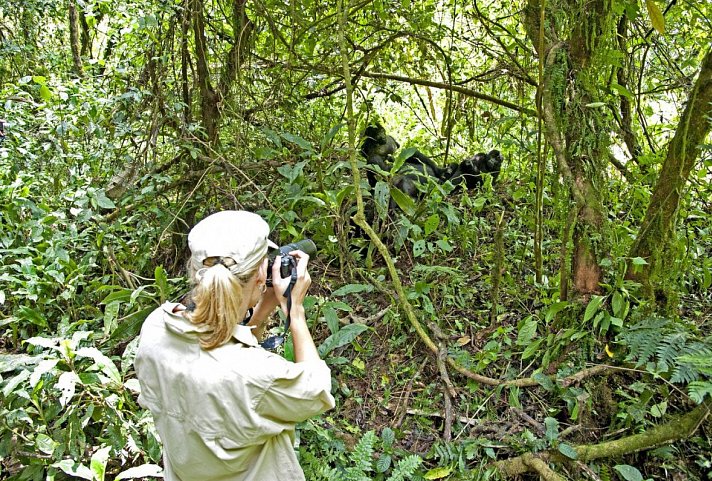 Sanctuary Gorilla Forest Camp