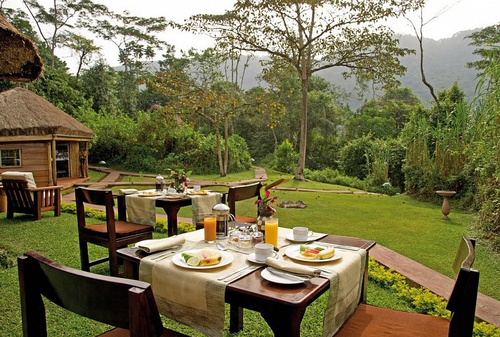 Sanctuary Gorilla Forest Camp