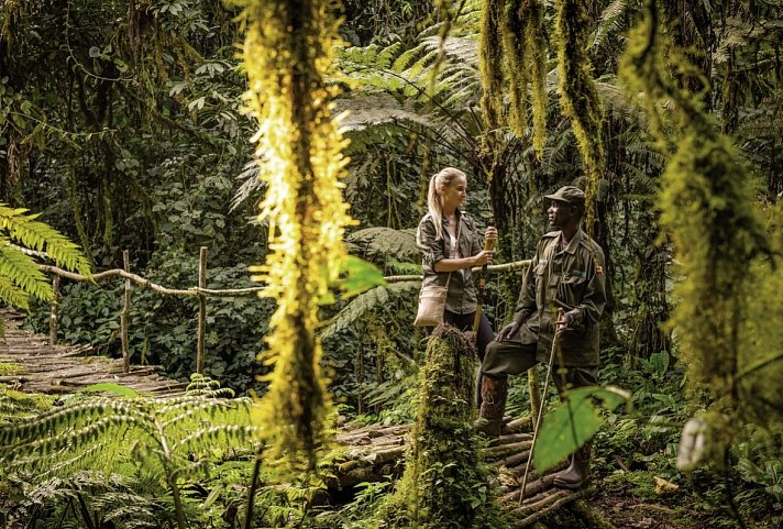Sanctuary Gorilla Forest Camp