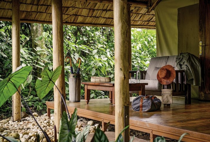 Sanctuary Gorilla Forest Camp