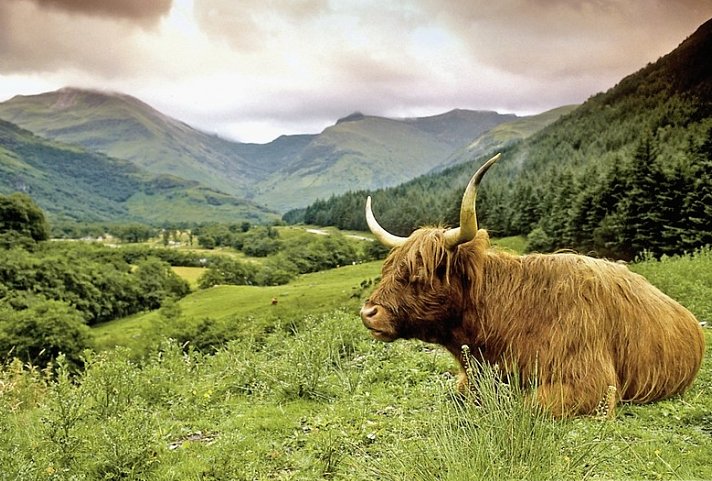 Edinburgh und Glasgow bewusst entdecken