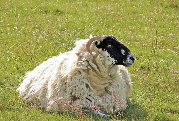 Familienerlebnistour Schottland