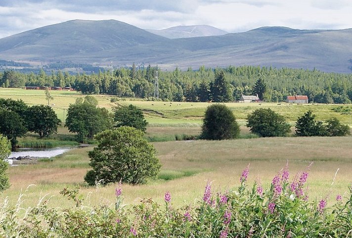 Whiskytour - Speyside