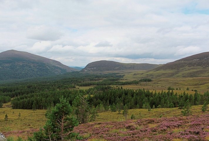 Whiskytour - Speyside