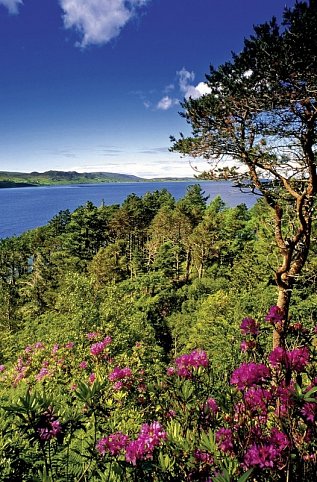 Majestätische Highlands und faszinierende Inseln