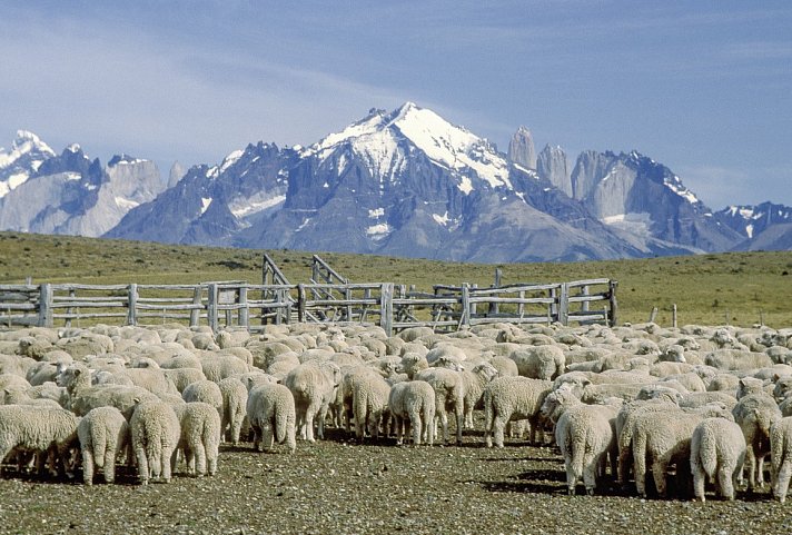 Patagonien mit dem Truck: Carretera Austral & das Ende der Welt