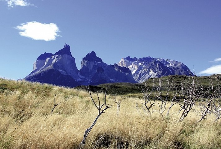 Rauhes Patagonien & mystische Osterinsel