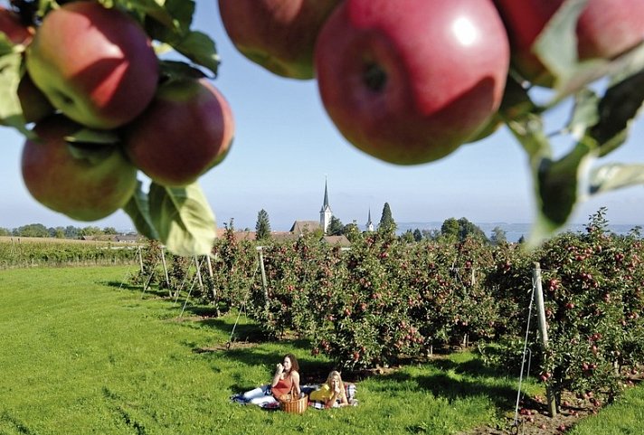 Bodensee-Radweg mit Charme