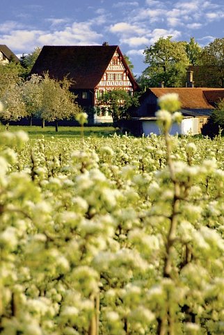 Bodensee Kurztour