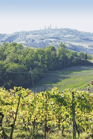 Malerische Toskana