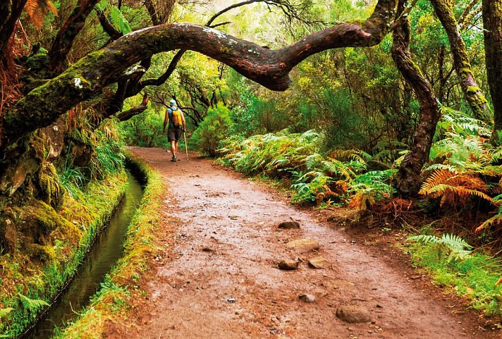 Madeira individuell - der Levada Trek